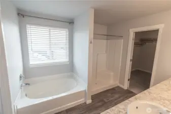 Primary Bath