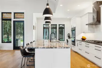 Dream kitchen with large island with eating space, sink and dishwasher in the island. On the other side is an incredible cooking station with gas range, electric double oven, stainless oven vent, tons of storage and counter space. Counters on that side are graced with leathered charcoal granite. Custom white Belmont Cabinetry throughout.