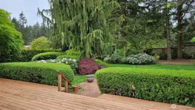 The deck is giant, and the yard is gorgeous!