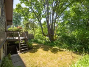 The level backyard sits above the alley.