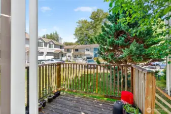 Back Deck