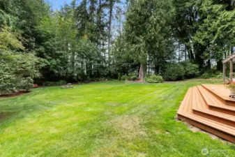 Fully Fenced Yard