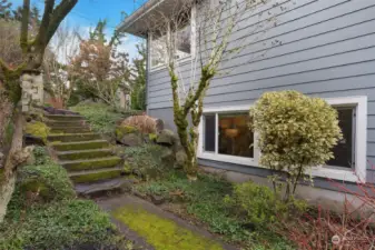 Peaceful side yard blooms year round.