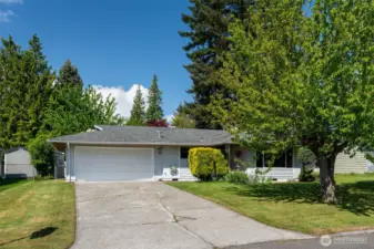 Driveway parking
