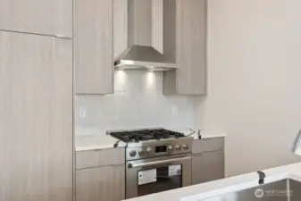 3rd floor kitchen with gas stove-pic is of similar unit