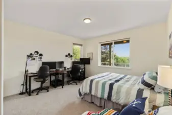 THe third bedroom, with pretty views and large closet.