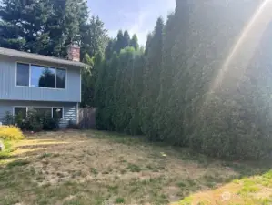 Side yard