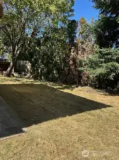 Back yard