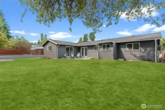 This photo, edited with grass offers a glimpse of what this yard could be with a little TLC.