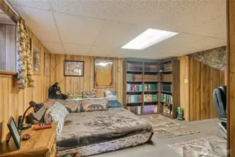 Downstairs bedroom