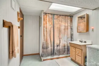Downstairs bathroom