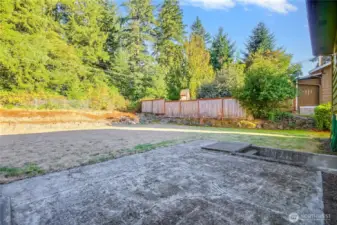 Back yard