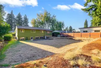 Huge yard