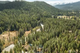 Nestled in the Pines, Privacy, Solitude Discovered