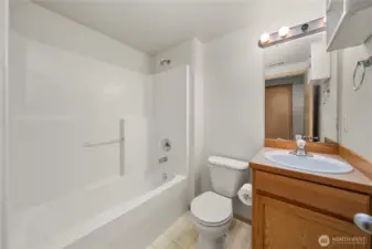 Lower level full bathroom