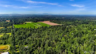 Gorgeous view potential  from main living space with some tree topping