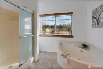 5 piece primary bathroom