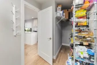 Kitchen Pantry