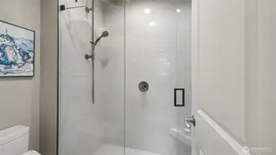 No-curb custom shower, glass wall shower, LED-lit shampoo caddies, Biday toilet, and new skylight.