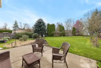 Back yard/patio area