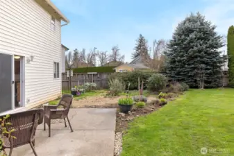 Garden area/patio