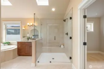 Grand walk in shower and separate bath.