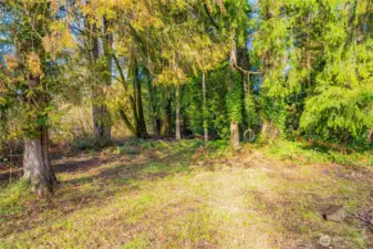 Yes, the tiire swing can convey!  Isn't it perfect here?