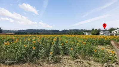 This is what you get to gaze at throughout the summers!