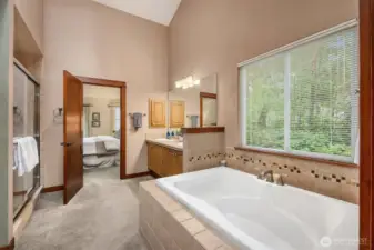 Gigantic soaking tub and walk-in-shower.