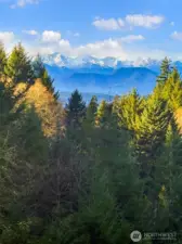 Welcome home to your PNW oasis.