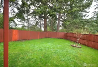 Expansive backyard providing space, greenery, and outdoor enjoyment.