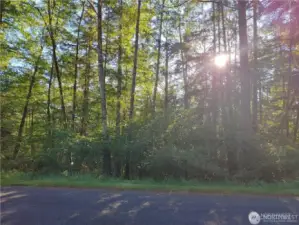 Beautiful Larger Lot