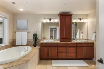 Primary bathroom with jetted tub and huge walk-in shower.