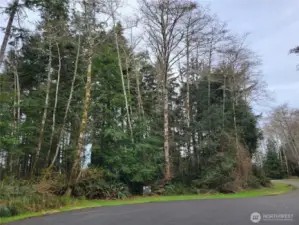 Prime cul-de-sac lot with entry from Hyde Ct on cul-de-sac or direct entry from Lakeview Loop, you choose!