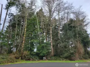 All utilities in street - lot may have marketable timber.