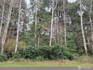 View from Lakeview Lp side of property!