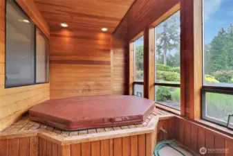 Downstairs indoor hot tub