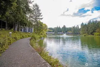 Walking trails abound