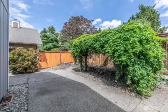 Easy to maintain, private back yard entertainment space