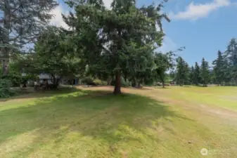 More views of the course
