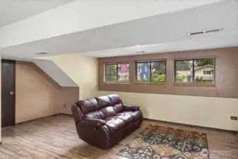 Great room for gatherings and movies