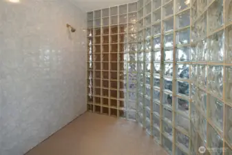 Primary Bathroom Shower
