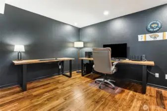 Lower Level Family Room