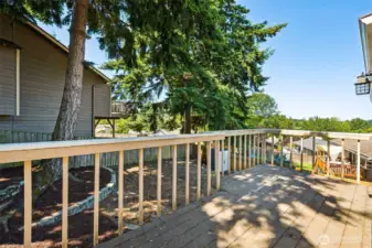 Backyard Deck with a View