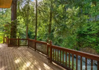 Lower Deck