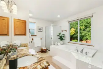Primary Bath with Soaking Tub