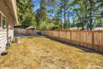 Actual side yard photo