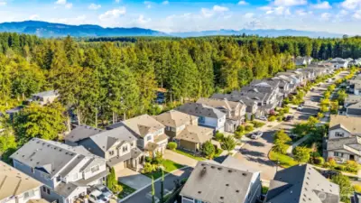 Aerial neighborhood view showcasing the scenic Black Diamond community, surrounded by lush greenery and close to parks, trails, and amenities.