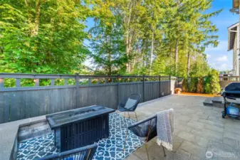 Outdoor entertaining space featuring paver patio, lounge area, and firepit potential.