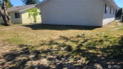 Rear Yard